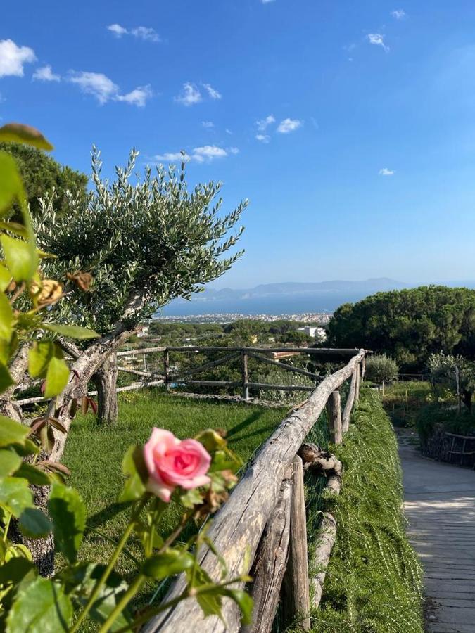 B&B Sunset Ercolano Eksteriør bilde